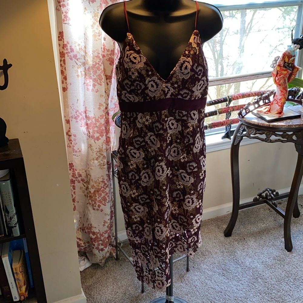 Beautiful Bardot Dalia lace asymmetrical floral dress